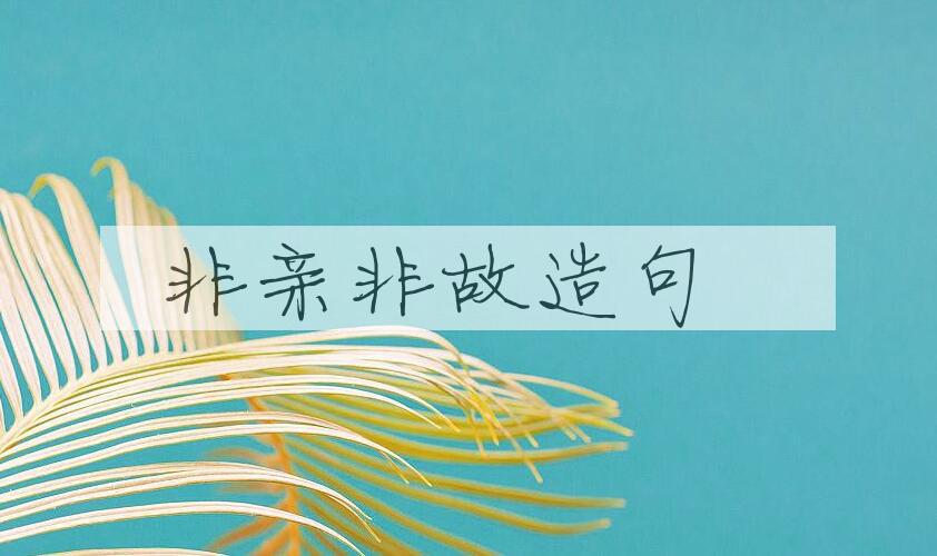 用非亲非故造句