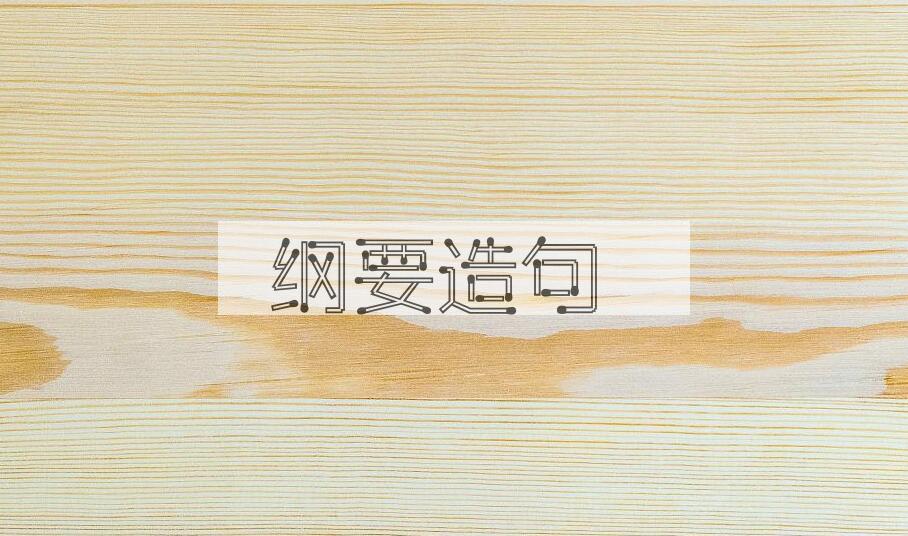 用纲要造句