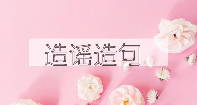 用造谣造句