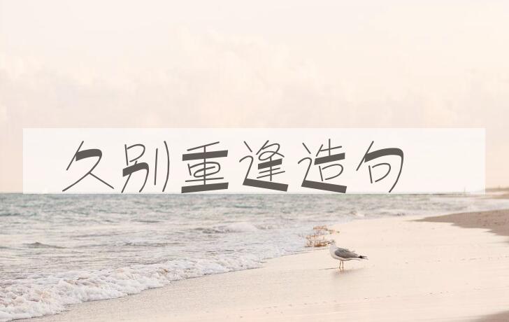 用久别重逢造句