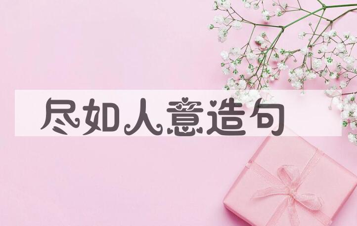 用尽如人意造句