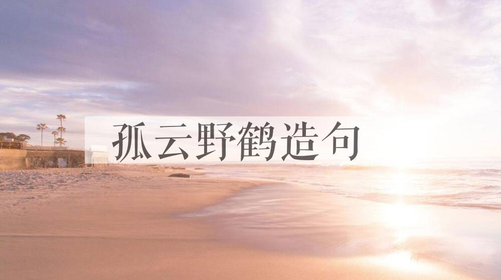 用孤云野鹤造句