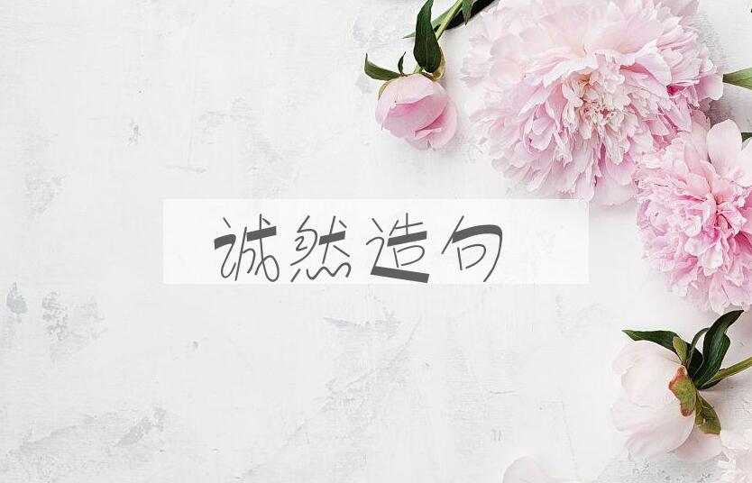 用诚然造句