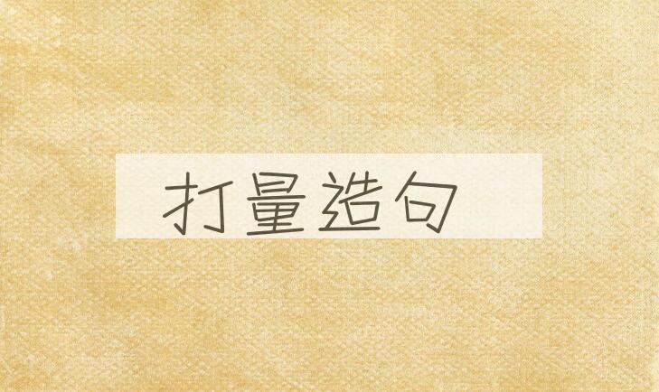 用打量造句