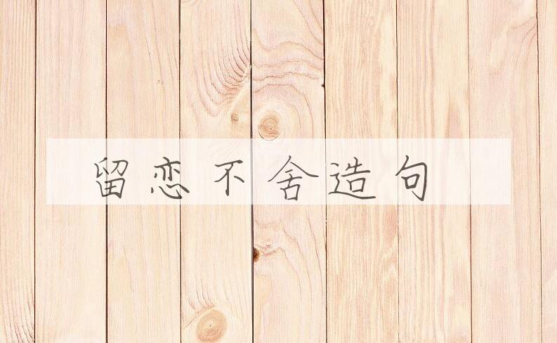 用留恋不舍造句