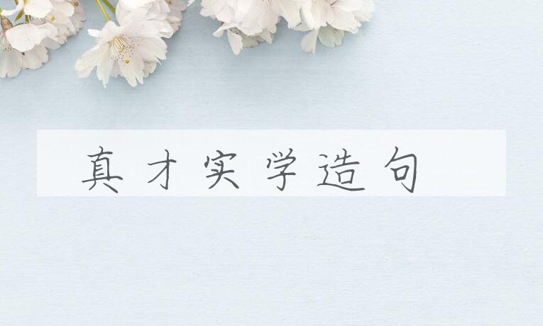 用真才实学造句