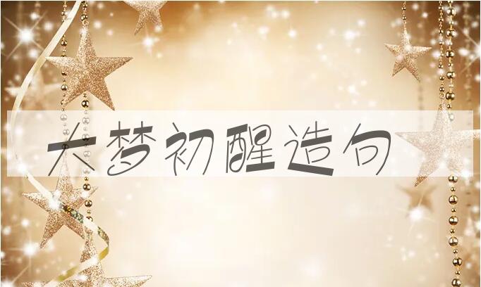 用大梦初醒造句