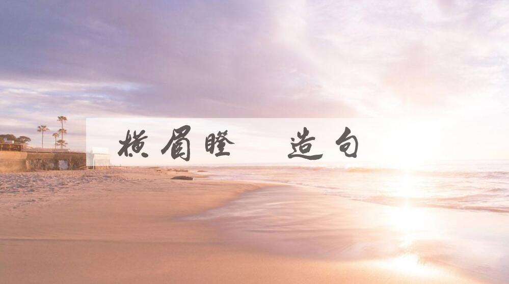 用横眉瞪目造句