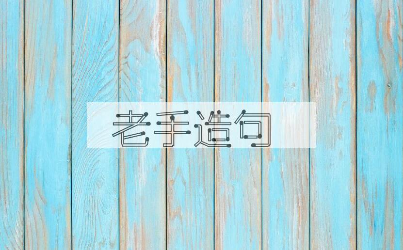 用老手造句