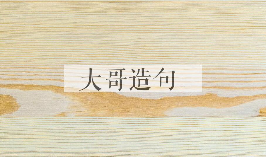 用大哥造句