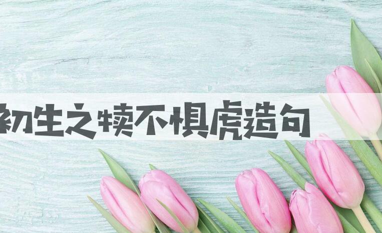 用初生之犊不惧虎造句