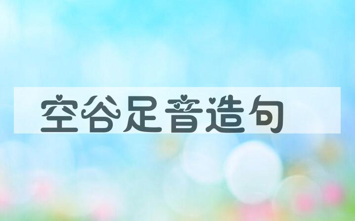 用空谷足音造句