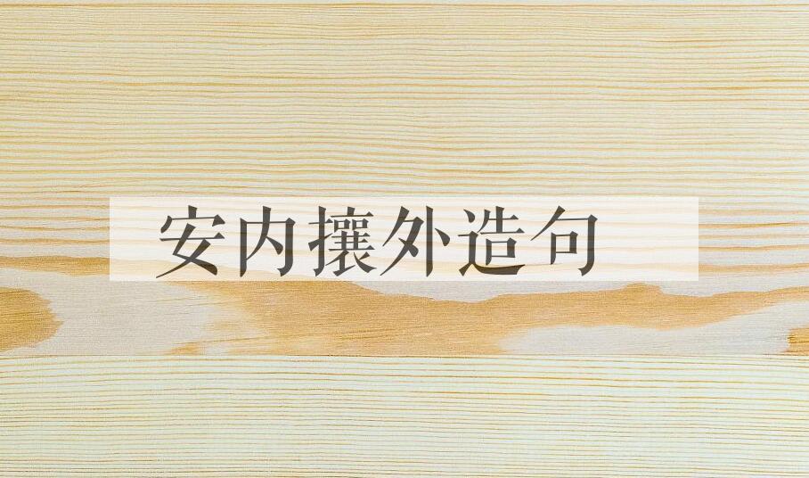 用安内攘外造句
