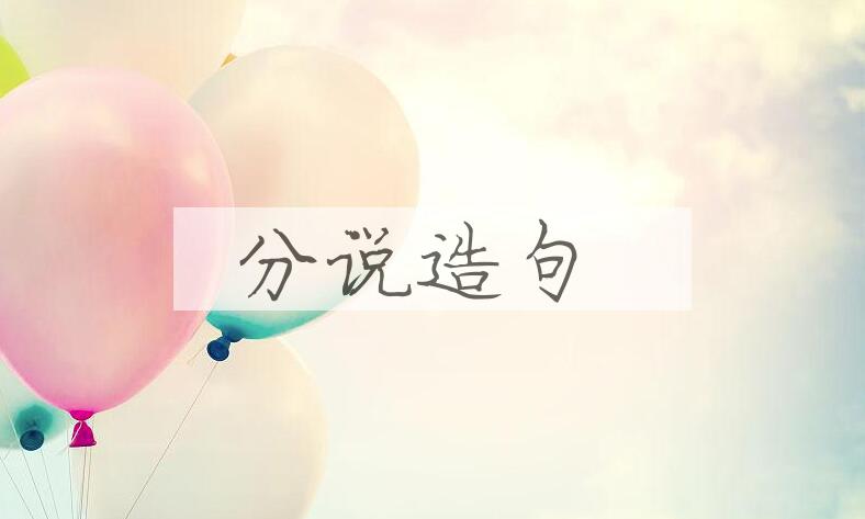 用分说造句