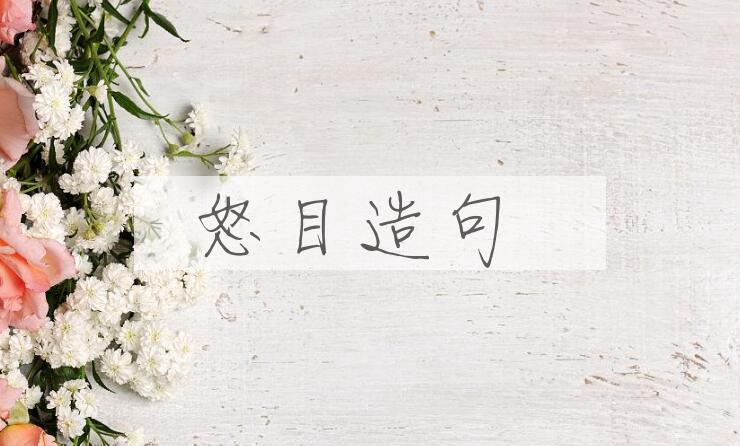 用怒目造句