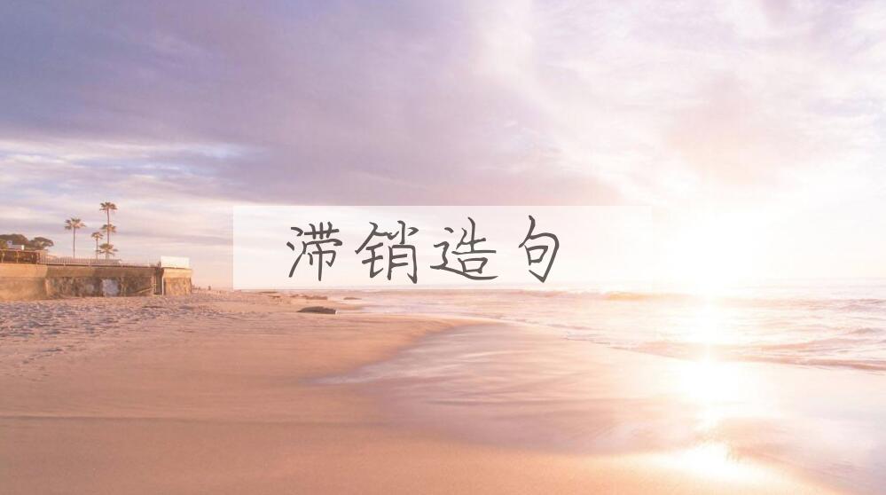用滞销造句