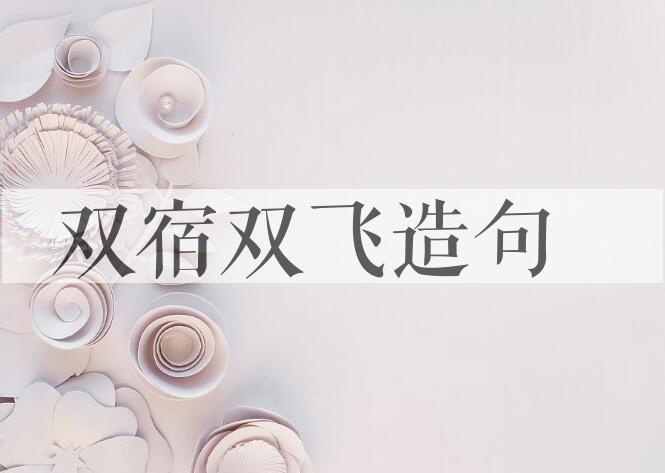 用双宿双飞造句