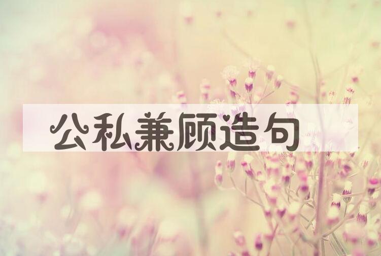 用公私兼顾造句