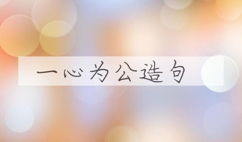 用一心为公造句