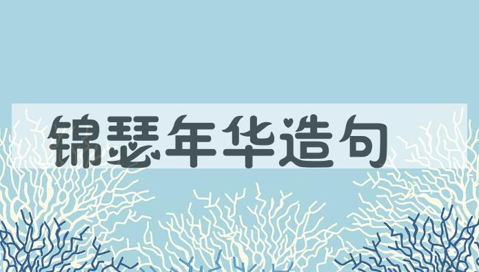 用锦瑟年华造句