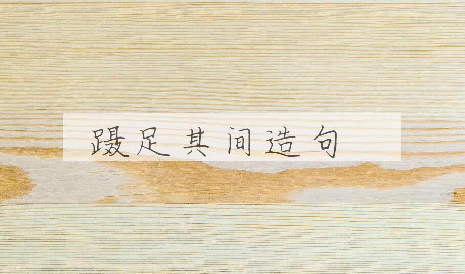用蹑足其间造句