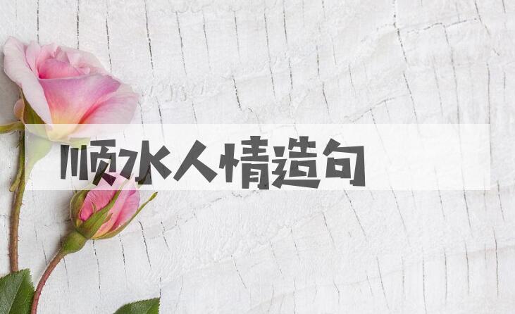 用顺水人情造句