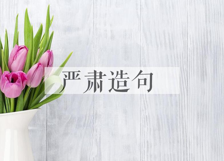 用严肃造句
