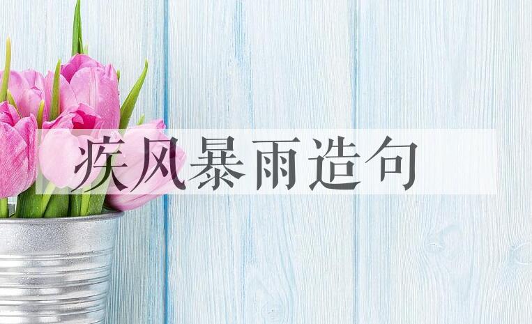 用疾风暴雨造句