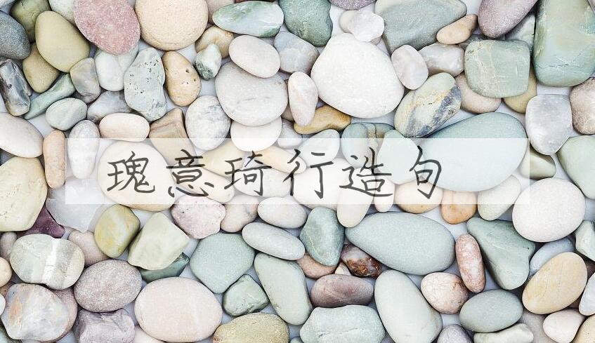 用瑰意琦行造句