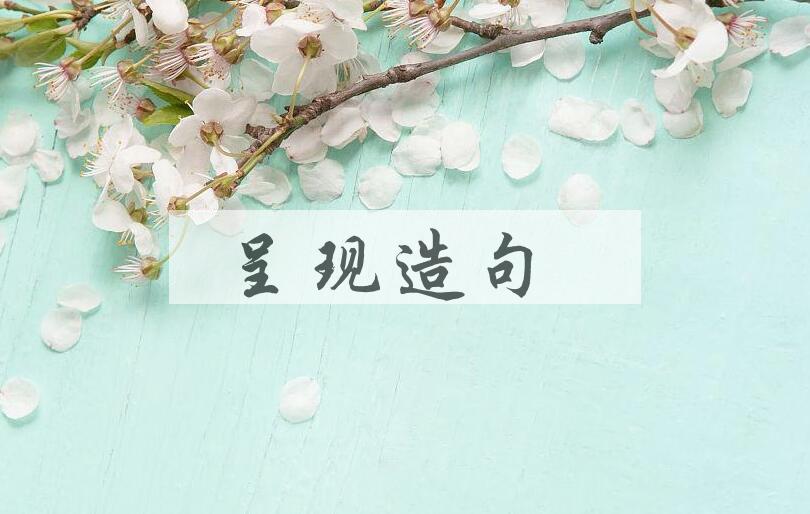 用呈现造句