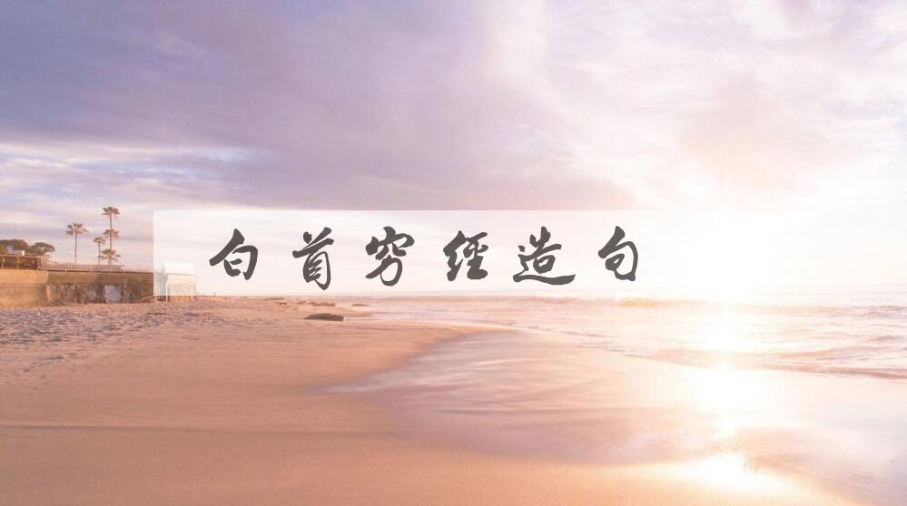 用白首穷经造句