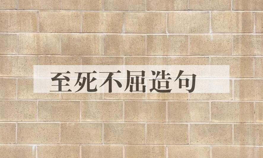 用至死不屈造句