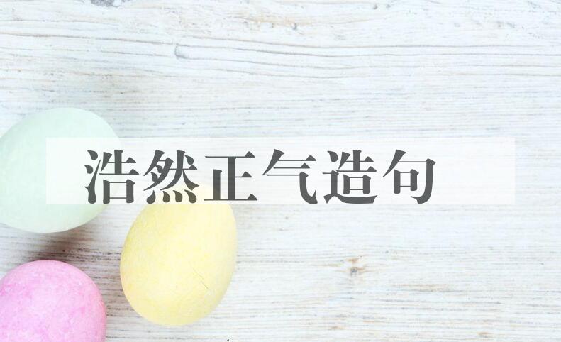 用浩然正气造句