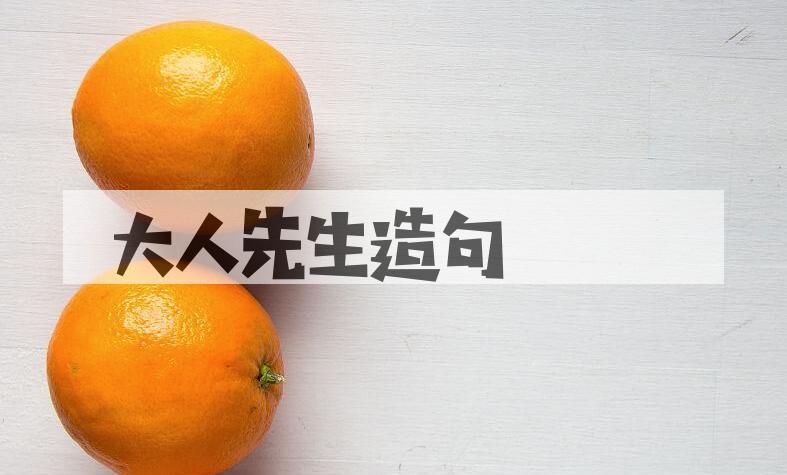 用大人先生造句