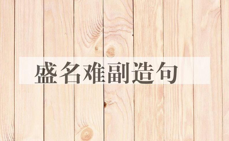 用盛名难副造句