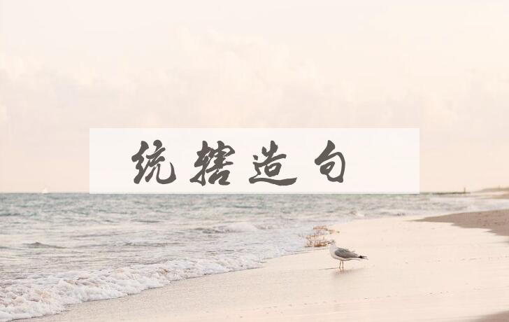 用统辖造句