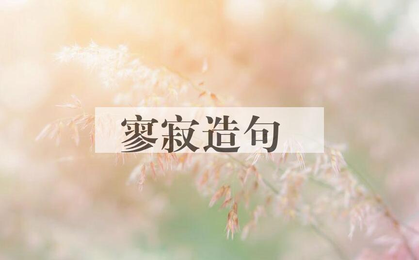 用寥寂造句