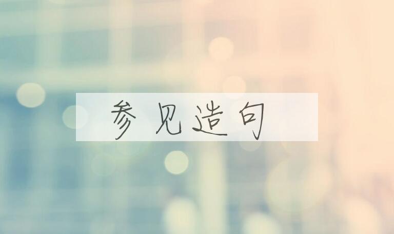 用参见造句