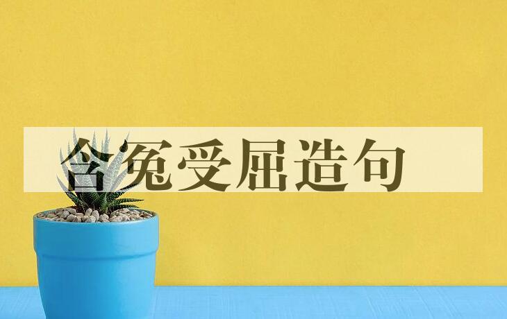 用含冤受屈造句
