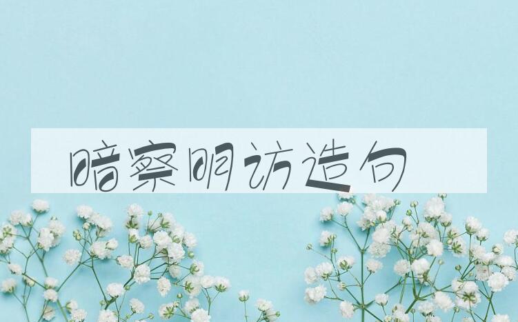 用暗察明访造句