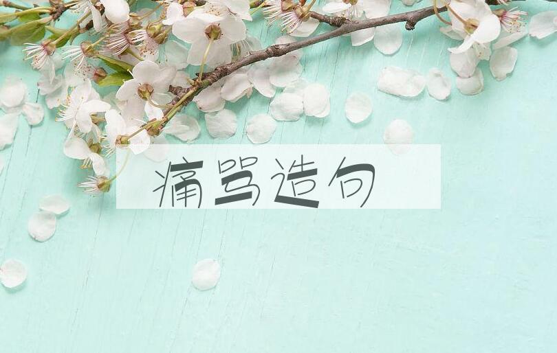 用痛骂造句