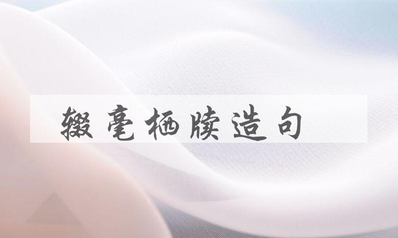 用辍毫栖牍造句