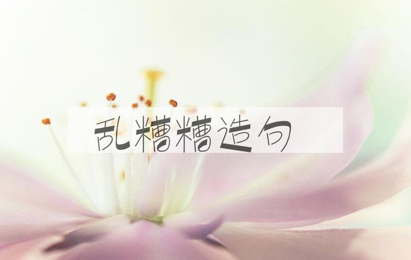 用乱糟糟造句