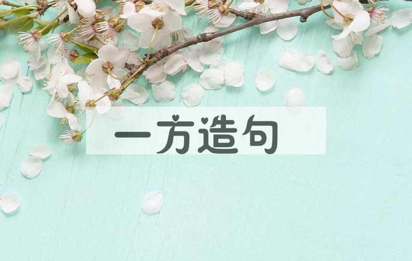 用一方造句