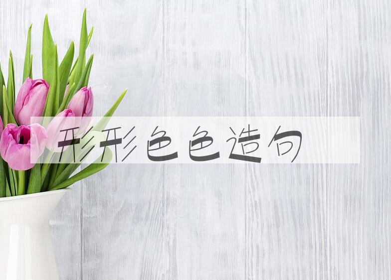 用形形色色造句