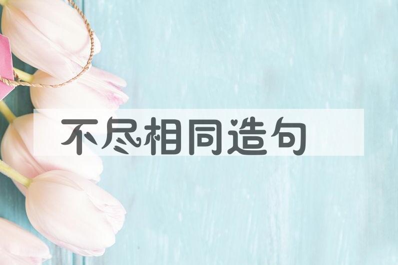 用不尽相同造句