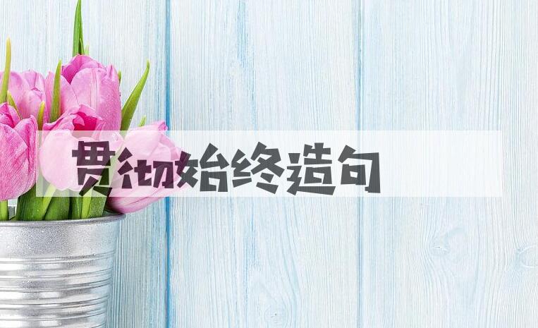 用贯彻始终造句