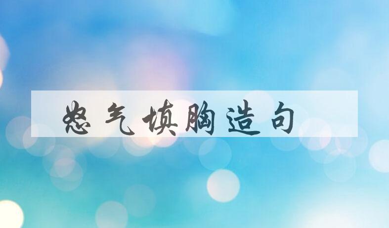 用怒气填胸造句