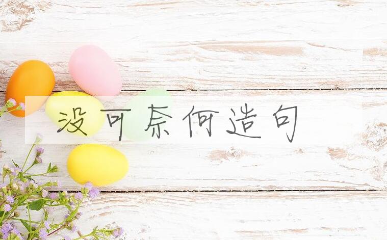 用没可奈何造句