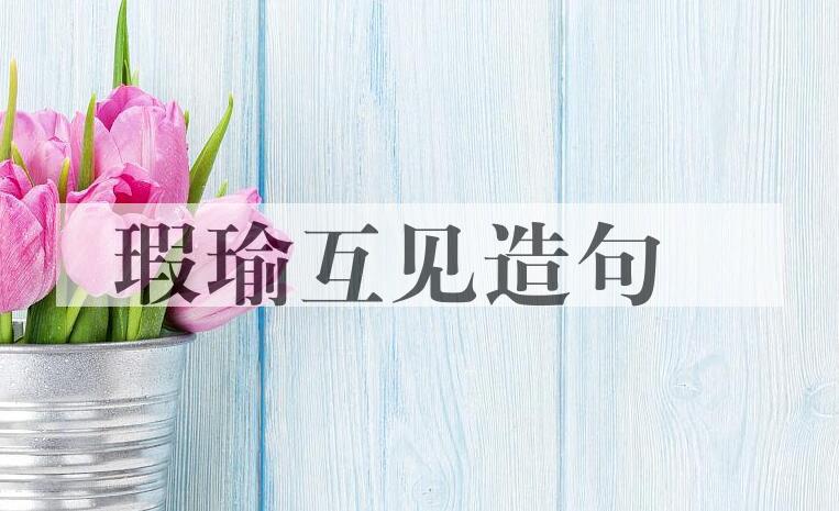 用瑕瑜互见造句
